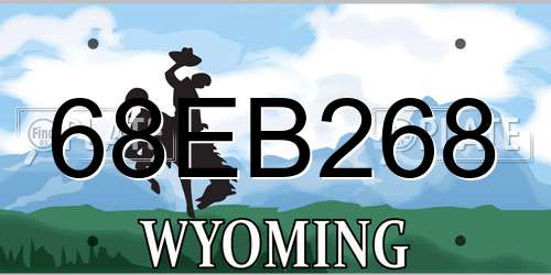 68EB268 Wyoming License Plate