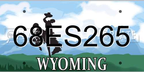 68ES265 Wyoming License Plate