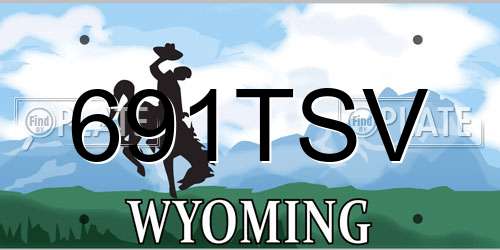 691TSV Wyoming License Plate