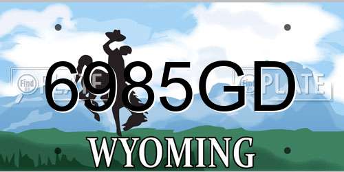 6985GD Wyoming License Plate