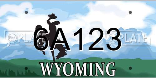 6A123 Wyoming License Plate