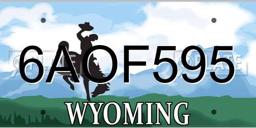 6AOF595 Wyoming License Plate