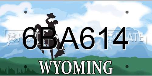 6BA614 Wyoming License Plate