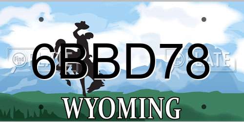6BBD78 Wyoming License Plate