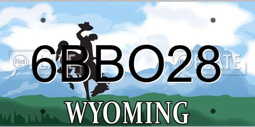 6BBO28 Wyoming License Plate