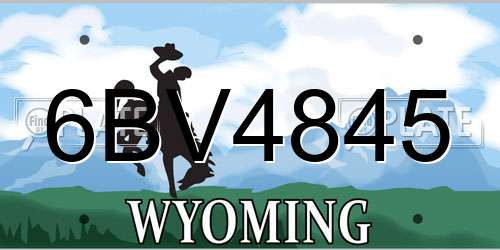 6BV4845 Wyoming License Plate