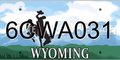 6CWA031 Wyoming License Plate