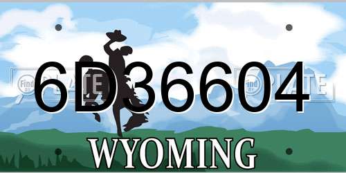 6D36604 Wyoming License Plate