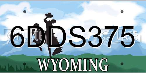 6DDS375 Wyoming License Plate