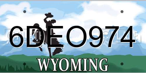 6DEO974 Wyoming License Plate