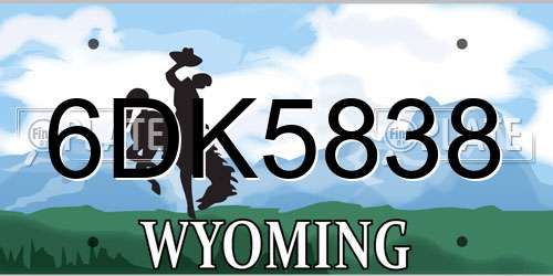 6DK5838 Wyoming License Plate