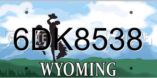 6DK8538 Wyoming License Plate