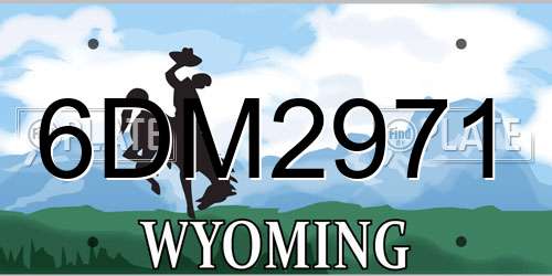 6DM2971 Wyoming License Plate