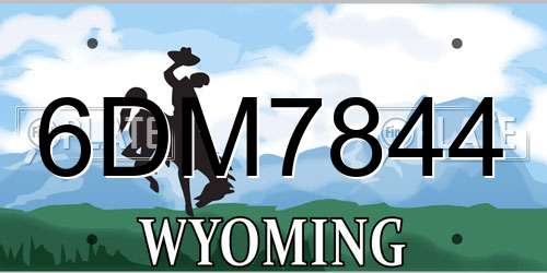6DM7844 Wyoming License Plate