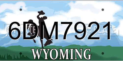 6DM7921 Wyoming License Plate