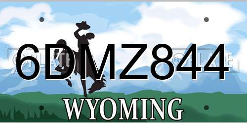 6DMZ844 Wyoming License Plate