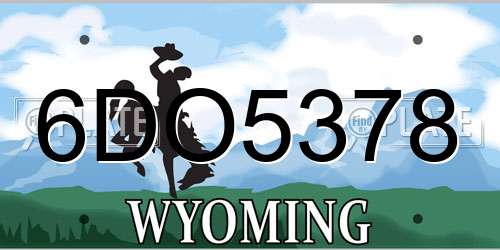 6DO5378 Wyoming License Plate