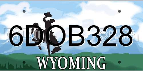 6DOB328 Wyoming License Plate