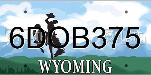 6DOB375 Wyoming License Plate