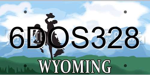 6DOS328 Wyoming License Plate