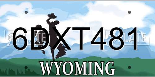 6DXT481 Wyoming License Plate