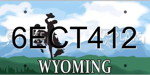 6ECT412 Wyoming License Plate
