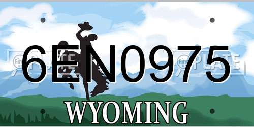 6EN0975 Wyoming License Plate