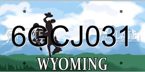 6GCJ031 Wyoming License Plate