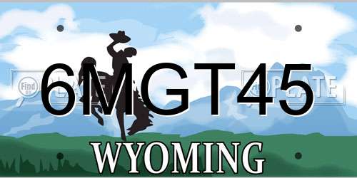 6MGT45 Wyoming License Plate
