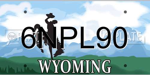 6NPL90 Wyoming License Plate
