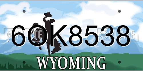 6OK8538 Wyoming License Plate