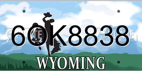 6OK8838 Wyoming License Plate