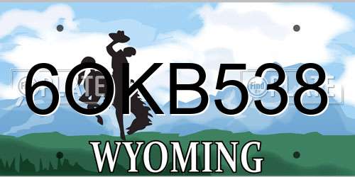 6OKB538 Wyoming License Plate