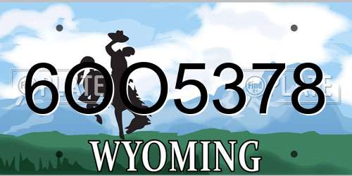6OO5378 Wyoming License Plate