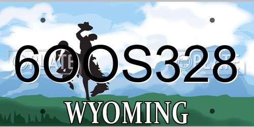 6OOS328 Wyoming License Plate