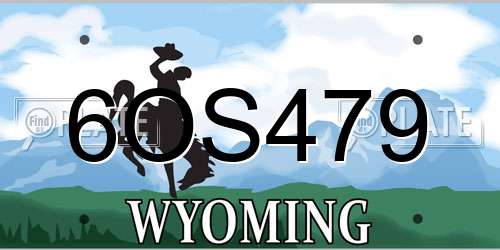 6OS479 Wyoming License Plate