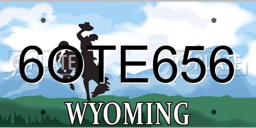 6OTE656 Wyoming License Plate