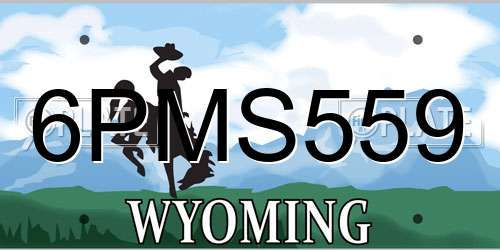 6PMS559 Wyoming License Plate