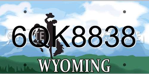 6QK8838 Wyoming License Plate