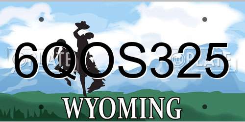 6QOS325 Wyoming License Plate