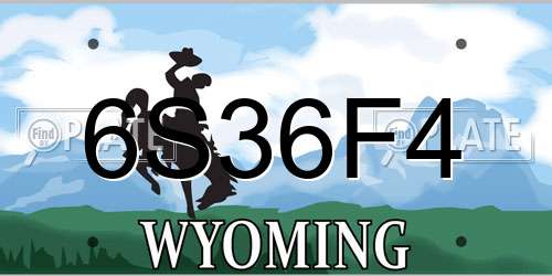 6S36F4 Wyoming License Plate