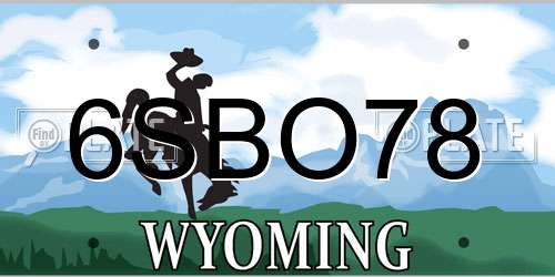 6SBO78 Wyoming License Plate