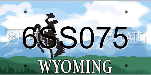 6SS075 Wyoming License Plate