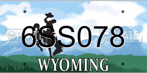 6SS078 Wyoming License Plate
