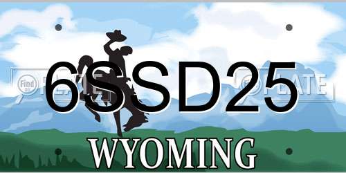 6SSD25 Wyoming License Plate