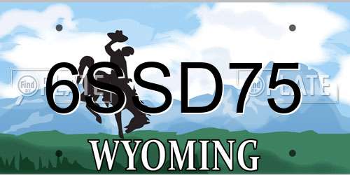 6SSD75 Wyoming License Plate