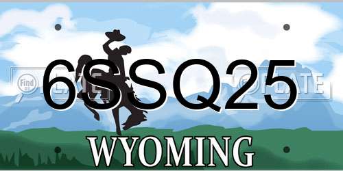 6SSQ25 Wyoming License Plate