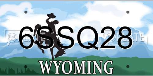 6SSQ28 Wyoming License Plate