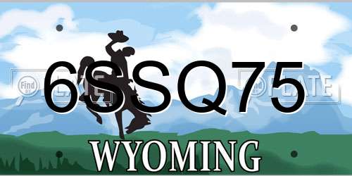 6SSQ75 Wyoming License Plate