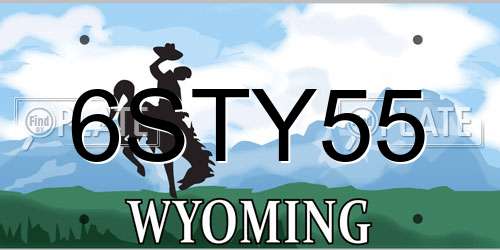 6STY55 Wyoming License Plate